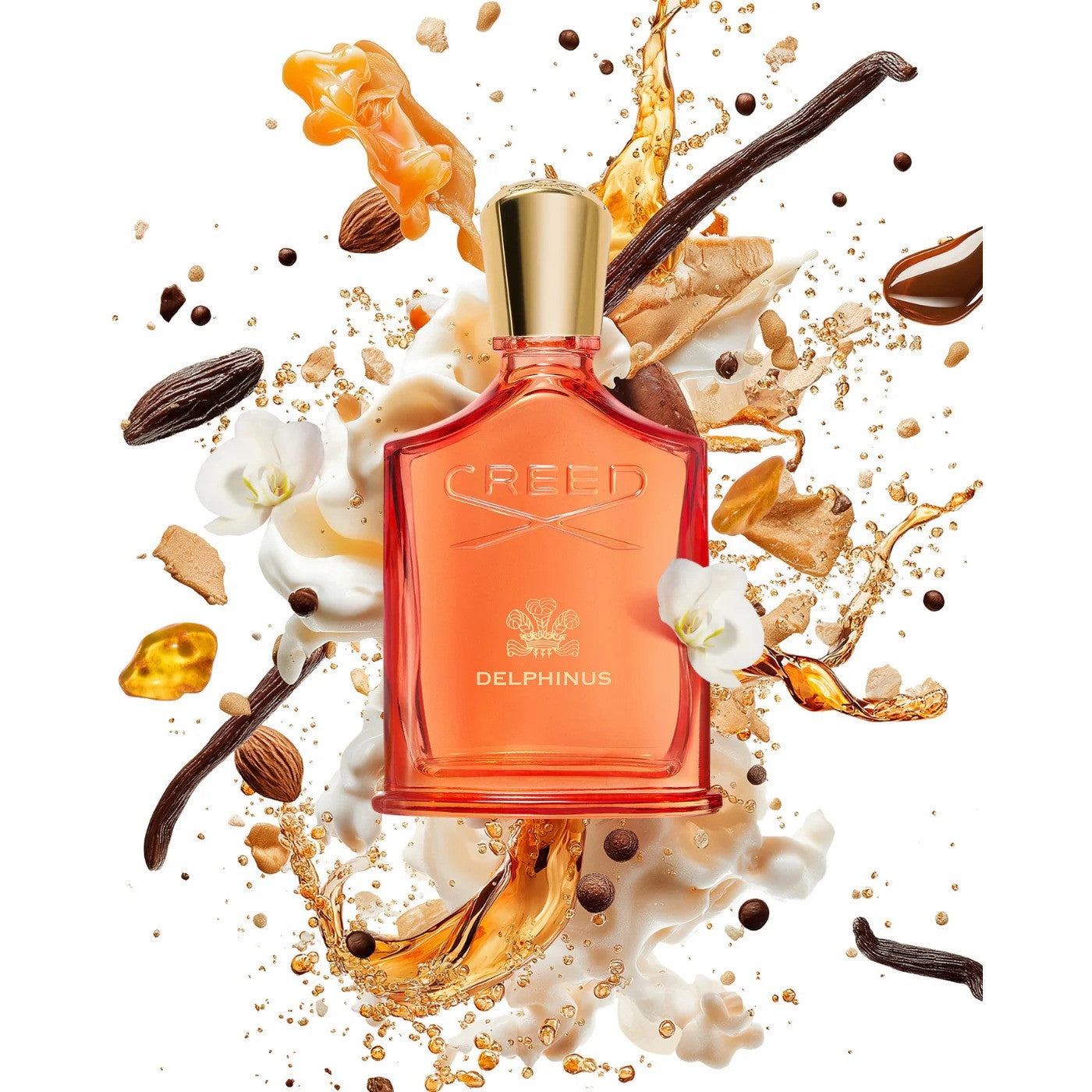 CREED THE AMBER UNIVERSE DELPHINUS EAU DE PARFUM SPRAY