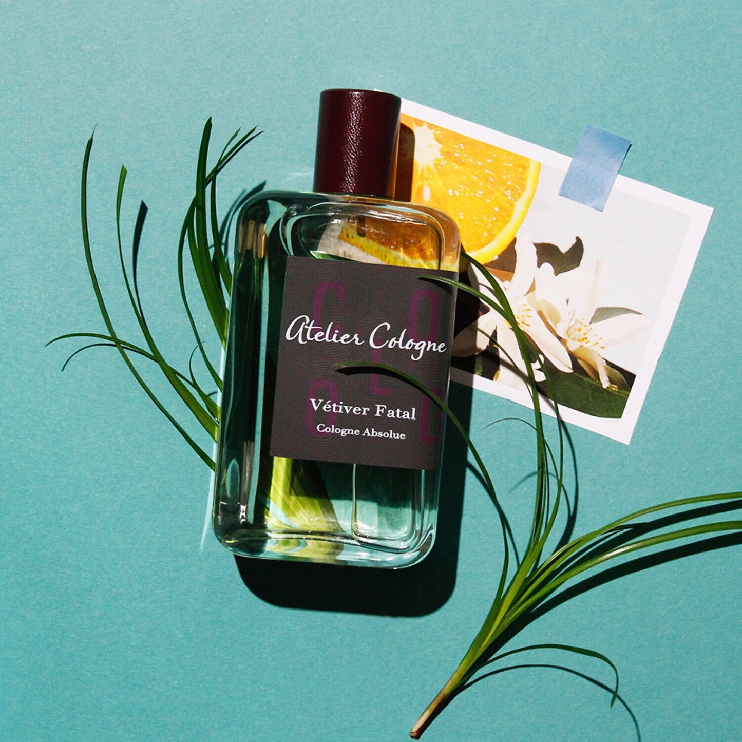 ATELIER COLOGNE VETIVER FATAL ABSOLU EAU DE COLOGNE SPRAY