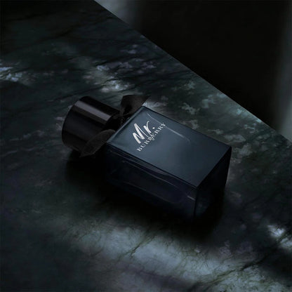 BURBERRY MR BURBERRY EAU DE PARFUM SPRAY
