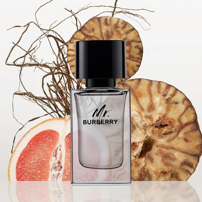 BURBERRY MR BURBERRY EAU DE TOILETTE SPRAY