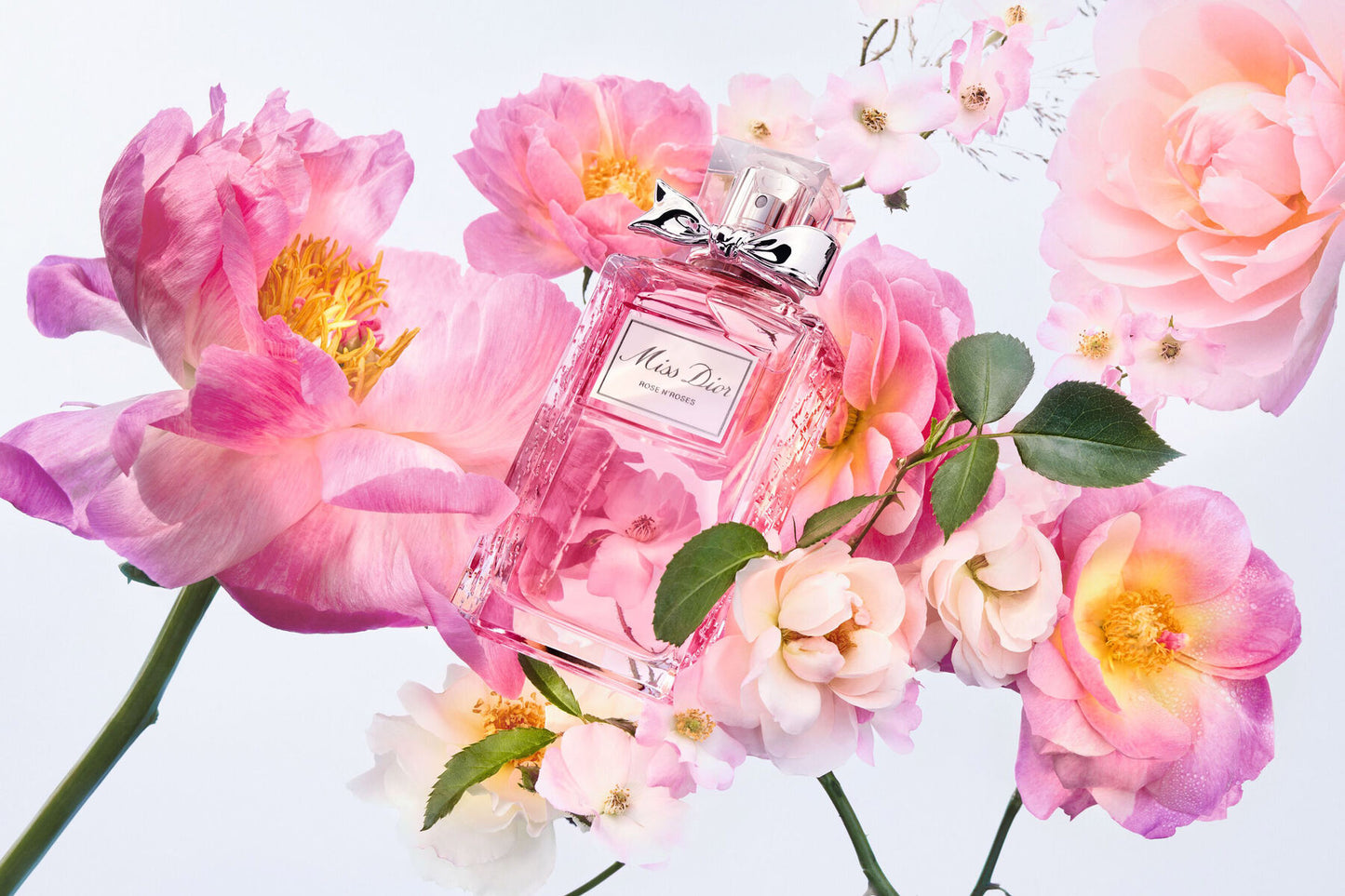 C. DIOR MISS DIOR ROSE N'ROSES EAU DE TOILETTE SPRAY